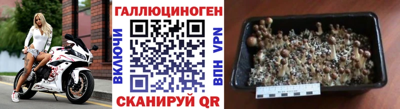 Псилоцибиновые грибы Magic Shrooms  Купить закладки  Сочи 